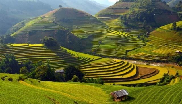 Discovery Hotel Sapa Exterior foto